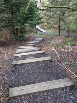 Compacted gravel and wooden steps have a steep grade from trailhead